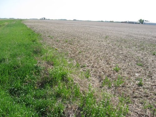 Property photo 21 - 172 Acres Offered in 3 Tracts - Prime Farmland